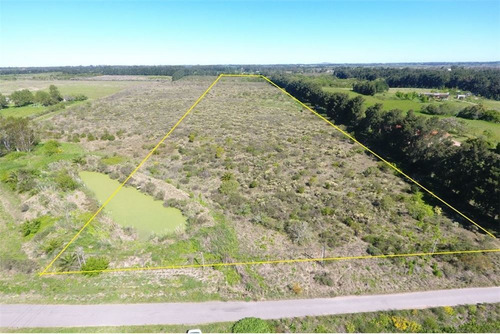 Venta De Campo Melilla , Camino Sere, Zona Chacras