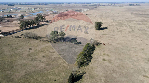 Imagen 12 de 13 de Campo 157 Hcts En Venta San Vicente P/desarrollo