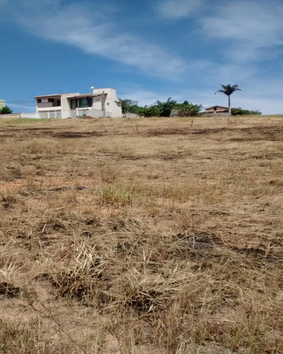Imagem 18 de 19 de Terrenos A Venda No Bairro Maria Turri. Parcelamento Direto Com A Construtora - 153 - 32564941