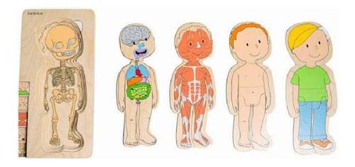 Rompecabezas Del Cuerpo Humano Didáctico