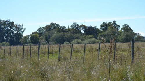 Imagen 11 de 15 de 190 Has Campo En Venta - Sobre Ruta, Ideal Ciclo Completo - Con Mejoras