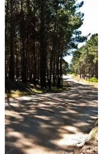 Lote Multifamiliar En Venta Pinamar Centro Oportunidad Desarrolladores