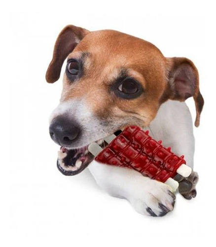 Imagem 1 de 2 de Brinquedo Mordedor Costela Com Aroma Para Pet Cachorro Cão