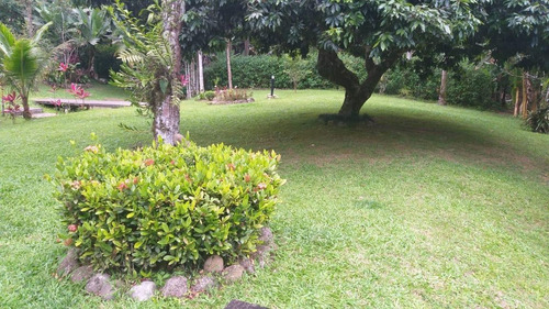 Chácara Com 10 Dormitórios À Venda, 6000 M² - Ch0020