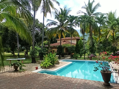 Imagen 4 de 14 de Se Vende Finca En El Municipio De Olaya