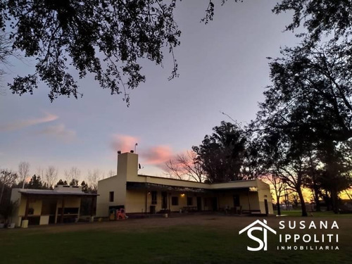 Imagen 29 de 30 de Espectacular Fracción De Campo Para Urbanización, Proponga Su Proyecto !!
