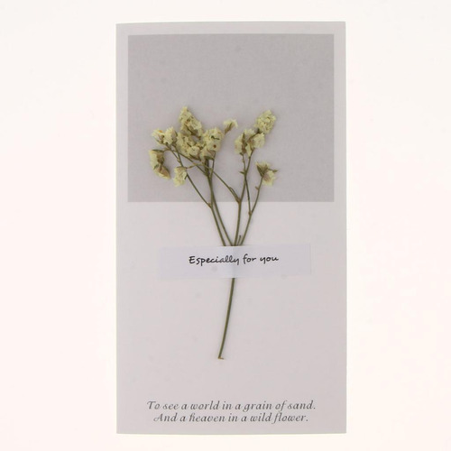 Paquete Flores Secas Tarjetas De Felicitación Amarillo