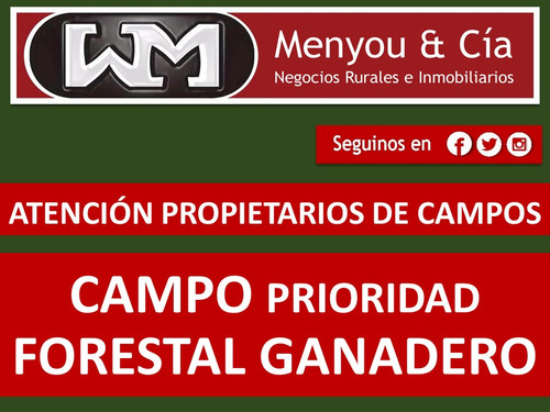 Venta Compra De Campo De 200has A 2500has Forestal Ganadero