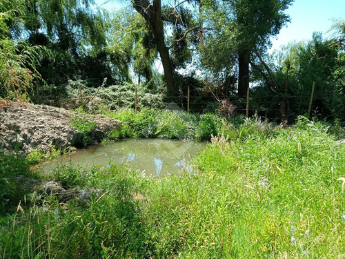 Agrícola En Venta En Linares