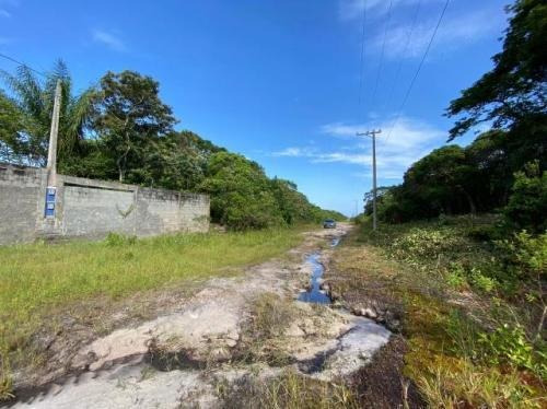 Imagem 4 de 7 de Terreno Perto Da Praia De 280 Metros Em Itanhaém Litoral Sul