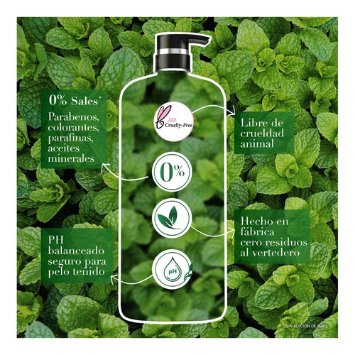 Herbal Essences Detox Té Verd 600ml Shampoo + Acondicionador