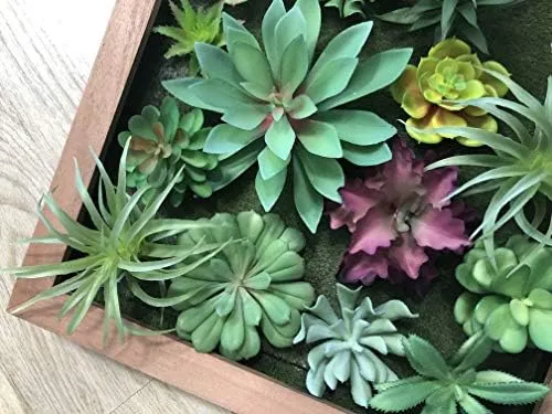 Tabla De Cocina Maniacs Mini Plantas Suculentas Artificiales