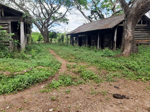 Vendo Finca En Bayaguana De 4,995 Tareas Tiene Mucha Agua Le Bordea El Rio Yavacao