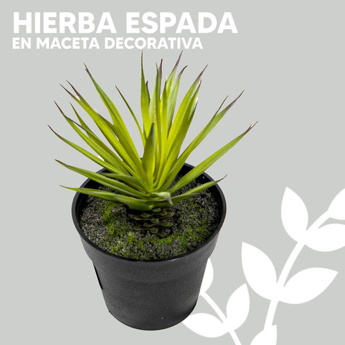 Kit 3 Maceta Mini De Hierba Espada De Plástico Para Interior