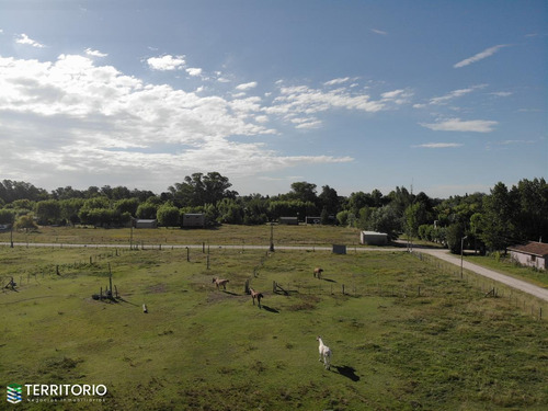 Imagen 21 de 23 de Barrio Abierto El Potro En Uribelarrea Terreno De 600 M2