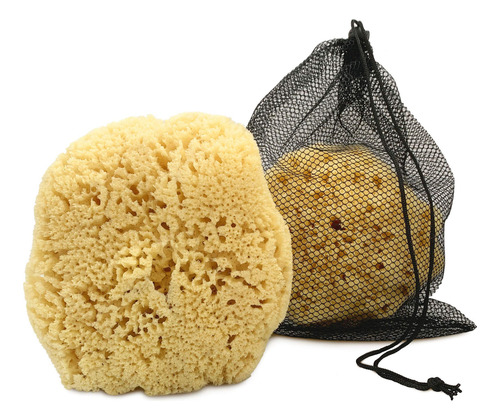 Esponja De Mar Extra Grande Natural Para Hombre 6 A 7 Pulgad Color Nombre Del Diseño