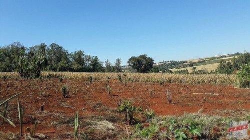 Imagem 5 de 30 de Chácaras_sítios_fazendas Para Venda - 13650.3266