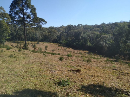 Imagem 18 de 30 de Chácara À Venda, 166375 M² Por R$ 4.000.000,00 - Costeira - São José Dos Pinhais/pr - Ch0081