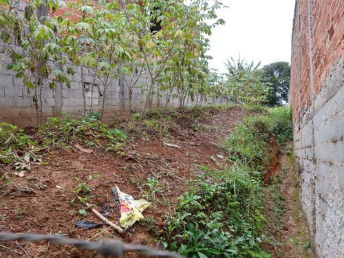 Imagem 5 de 8 de Terreno - Te97528 - 34385161