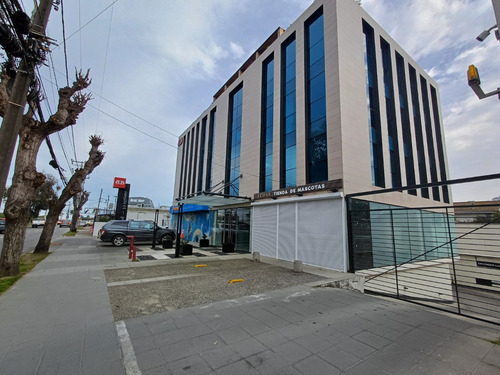 Venta/arriendo Edificio Oficina, Viña Del Mar Id 61.667-lin