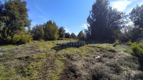 Imagen 25 de 30 de Susana Aravena Propiedades Terreno - San Martin De Los Andes