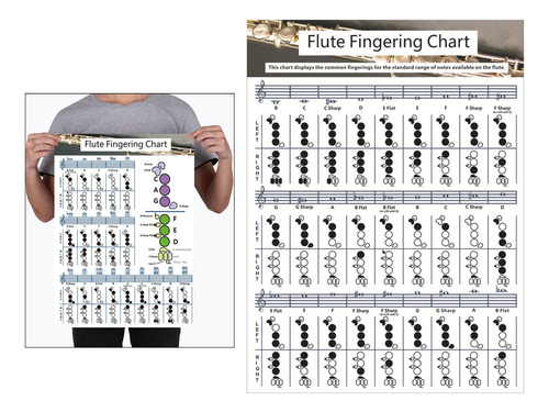Flute Chart Cheatsheets Accesorios Educativos Para Grande