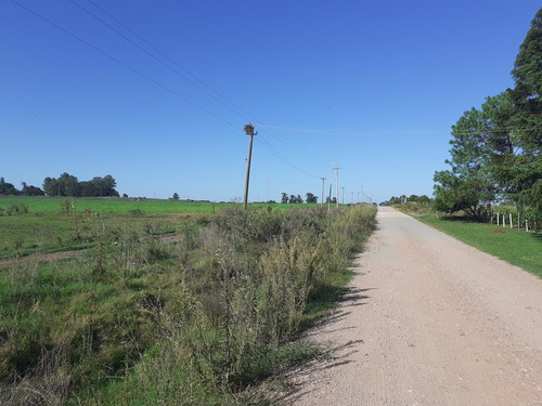 Venta De Chacra Colonia