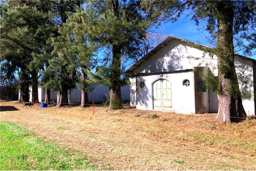 Imagen 20 de 21 de Venta Campo De 195 Ha. En Manzanares Pilar - Único