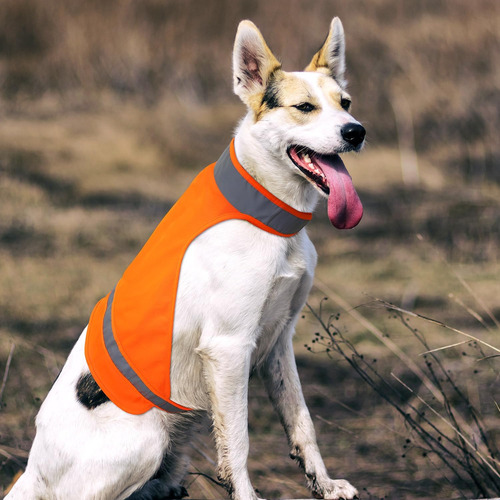 Blaze Orange Chaleco Para Perros Visibilidad Seguridad Al Ai