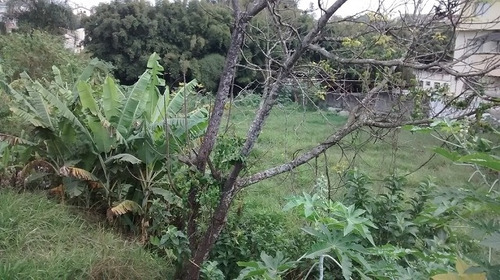Terreno Para Aluguel, 2100.0 M2, Mogi Moderno - Mogi Das Cruzes - 2553