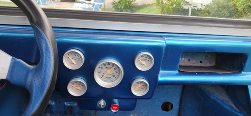 Buggy Puelche