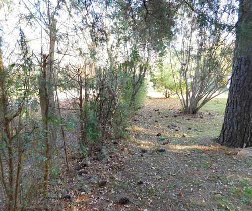 Imagen 12 de 21 de Venta Lote - Parquizado Y Con Perímetro- Parque Exaltación - Exaltacion De La Cruz