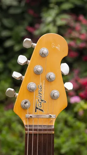 Guitarra Tagima Mm2 Seizi Hand Made In Brazil | MercadoLivre
