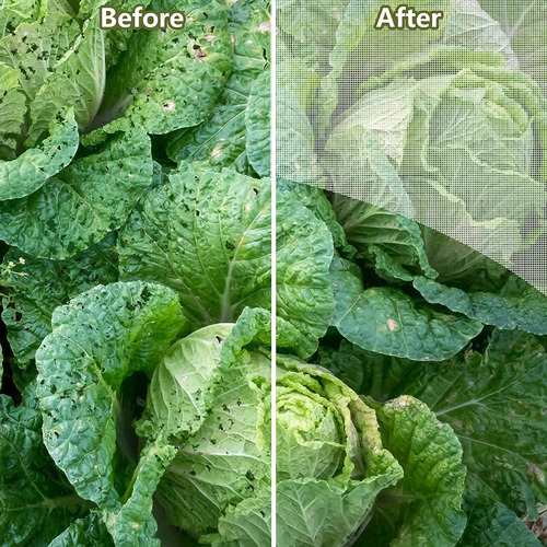 Jardín Malla Reutilizable Planta Cubierta Planta Protector
