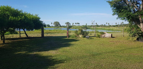 Campo Grandioso En Argentina- Formosa-estanislao Del Campo