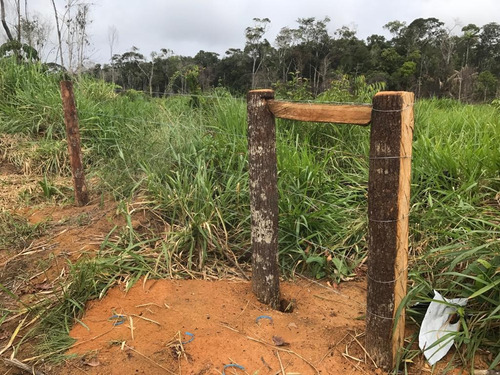 Vendo Fazenda De 5200 Hec Em Roraima ( 6097 )