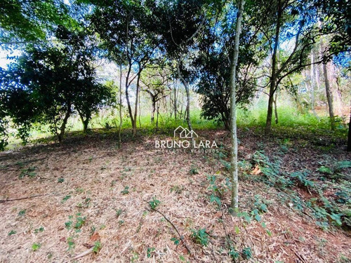 Imagem 5 de 9 de Chácara À Venda, 5000 M² Por R$ 370.000,00 - Recanto Do Igarapé - Igarapé/mg - Ch0013