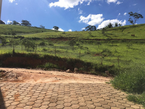 Imagem 5 de 7 de Chacara - Belvedere - Ref: 6697 - V-anp6697