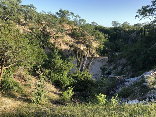 Zacaton Playa Tortuga, Zacaton Developer Land