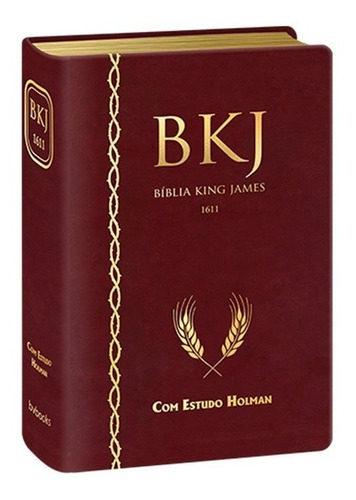 Bíblia De Estudo King James 1611 - Original Editora Bv