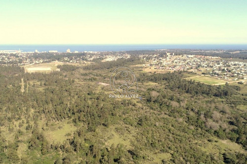 Imagen 7 de 9 de Chacras-venta-piriapolis-ch120