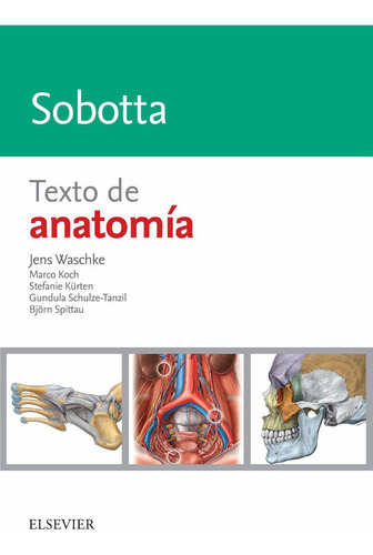 Sobotta. Texto De Anatomia