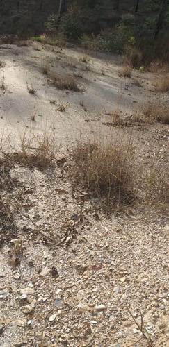 Imagen 3 de 14 de Terreno 867m2 Plano Colinas De Carrizal Avp