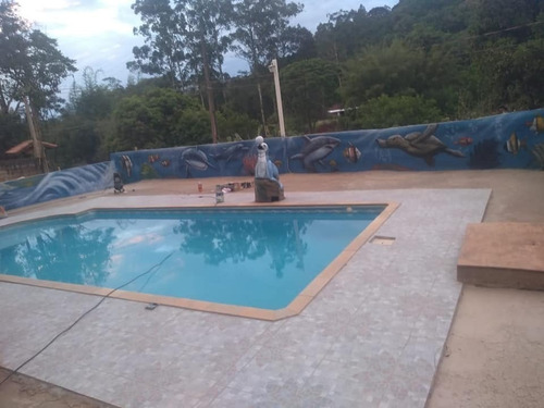 Imagem 2 de 15 de Sítio Com Piscina