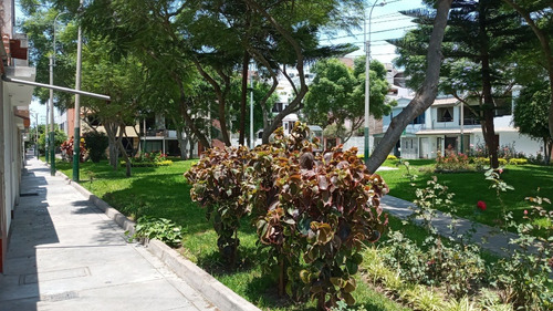 Imagen 5 de 13 de Se Vende Casa En Surco Viñedos Zona Tranquila