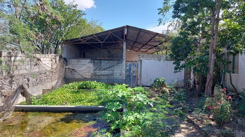 Bodega En Renta En Conkal