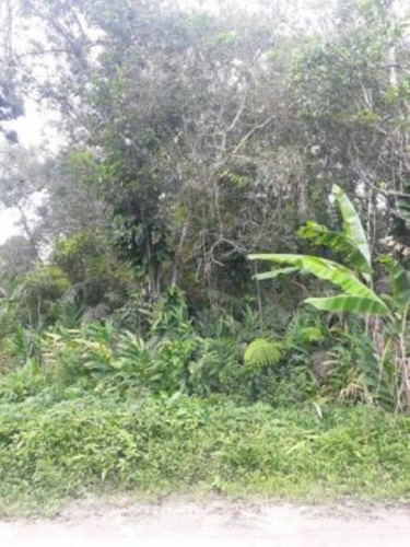 Imagem 3 de 4 de Lote De Chácara No Bairro Recanto Dos Imigrantes, Em Itanhaém, Com 415m² De Área Total