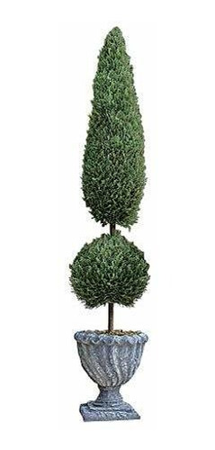 Diseño Toscano Clásico Topiary Gran Urna Árbol.