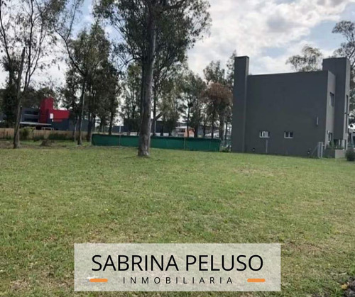 Imagen 6 de 10 de Terreno En Alvarez Del Bosque