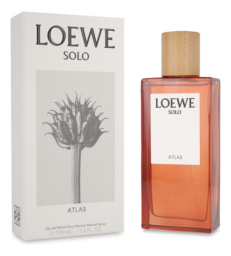Loewe Solo Atlas 100ml Edp Spray - Caballero